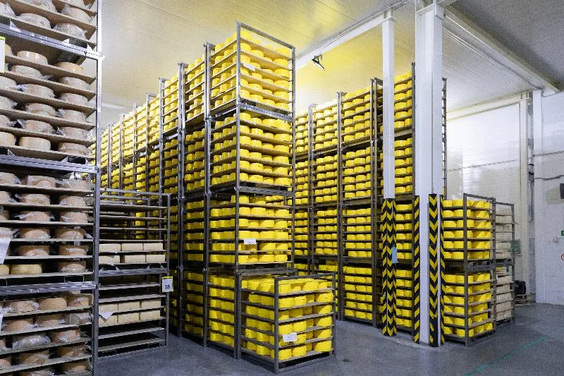 Camara fria industrial com prateleiras metalicas e bandejas amarelas armazenando produtos refrigerados